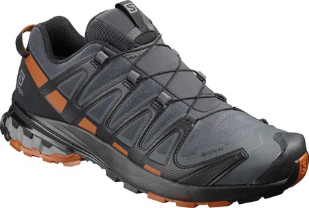 

Мужские кроссовки Salomon XA Pro 3D V8 GORE-TEX Trail Shoe Ebony/Caramel Cafe/Black 49.5