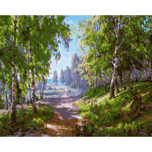 

Картина по номерам Тропинка 40*50 НикиТошка GX32842