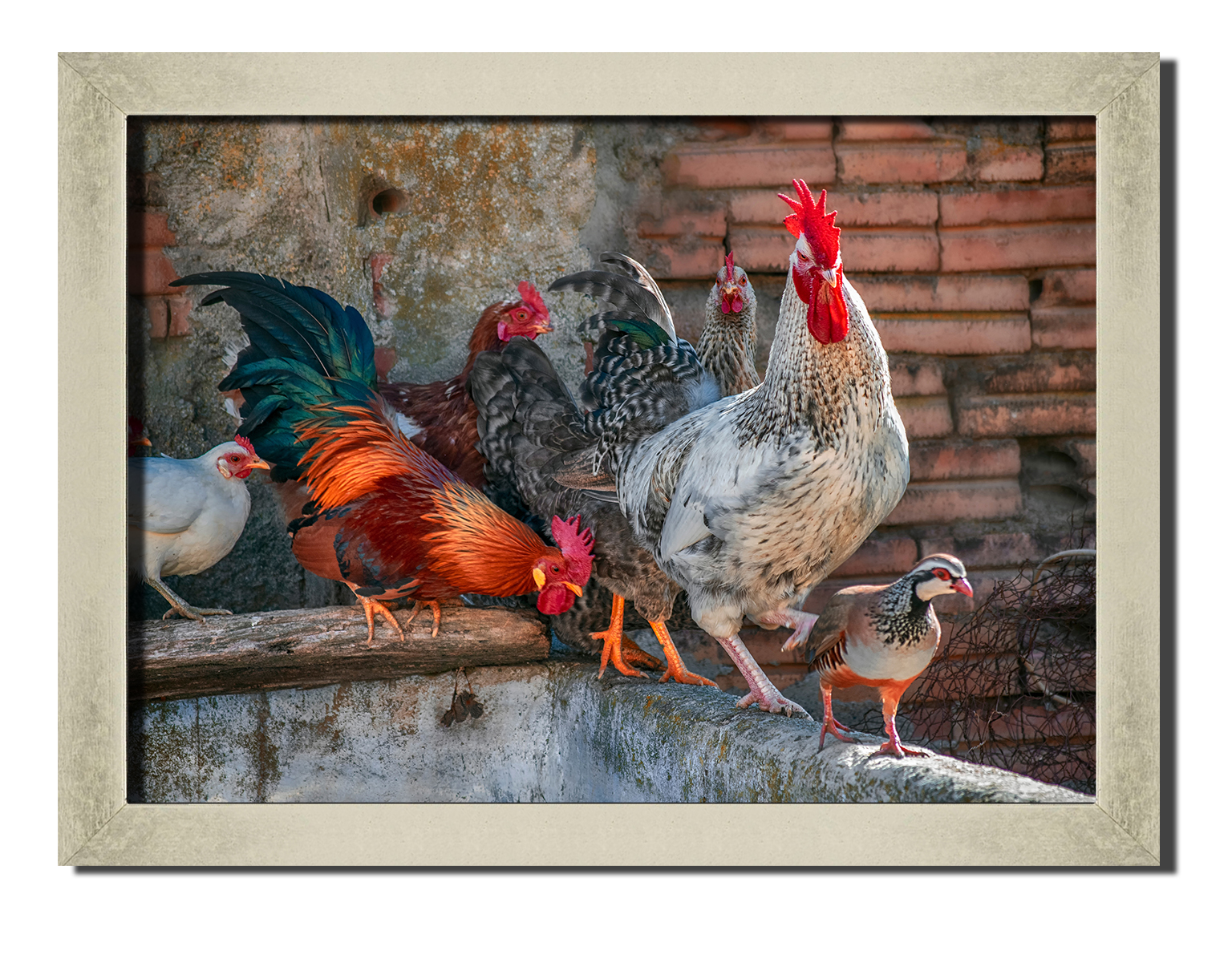 

Silver frame картина на файн-арт бумаге курятник сельская жизнь Hotel Arizona HD 31 см x 41 см