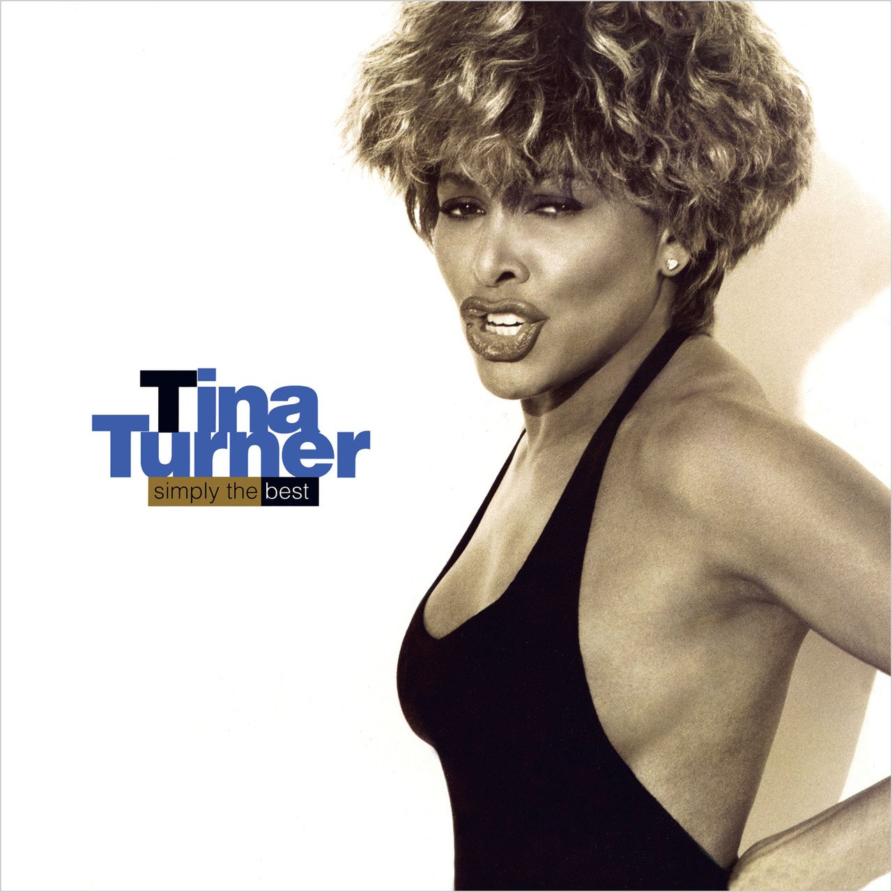 

Виниловая пластинка Tina Turner - Simply the Best (2LP)