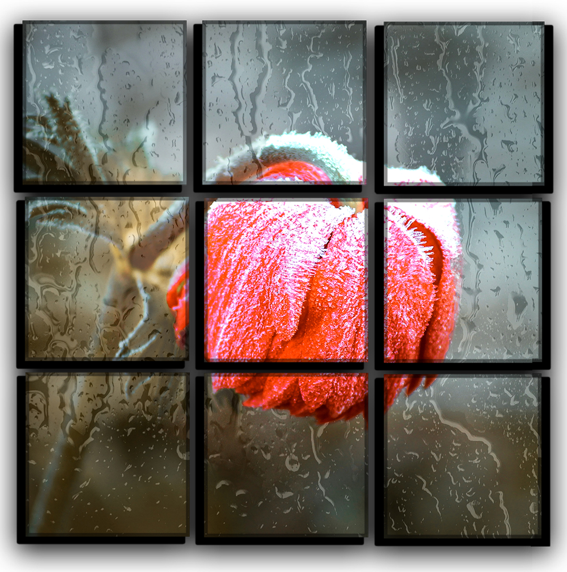 

Модульная картина на холсте 9 частей замороженный цветок дождь и цветы Hotel Arizona HD 77 см x 77 см