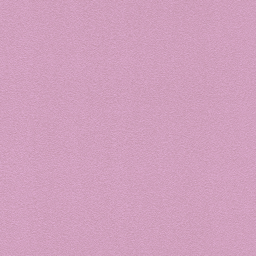 

Виниловые обои на флизелиновой основе 0.53*10.05 Rasch Kids&teens III 740189