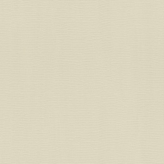 

Виниловые обои на флизелиновой основе 0.53*10.05 Rasch Hyde Park 411928