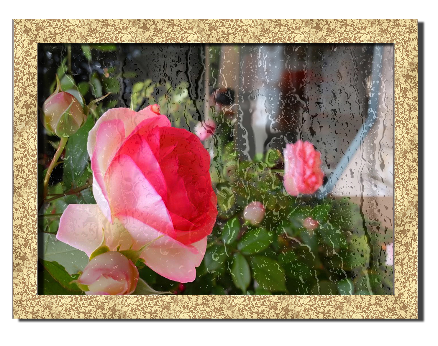 Golden frame картина на файн-арт бумаге Дождливые цветы цветы, растения Hotel Arizona HD 31 см x 41 см