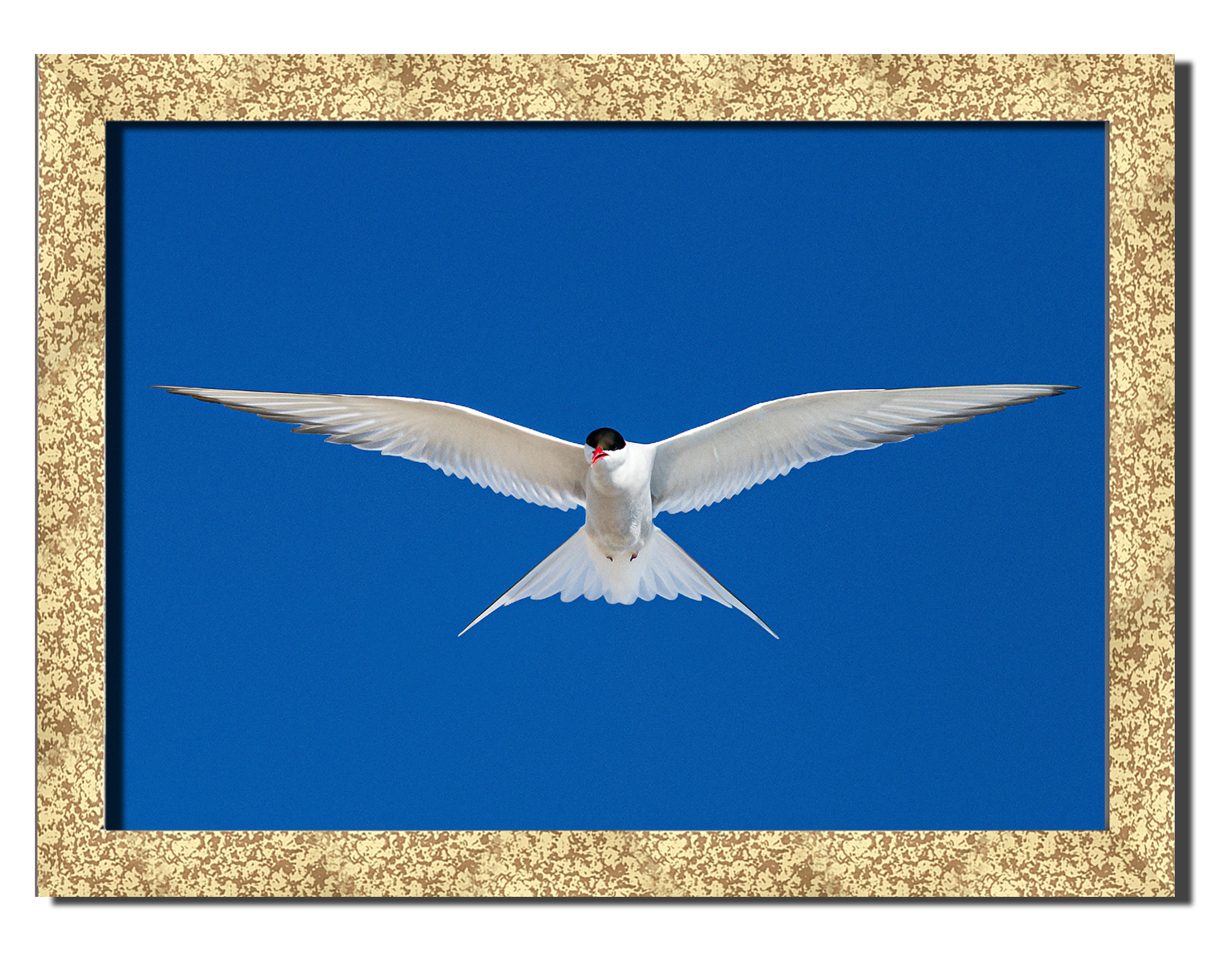 

Golden frame картина на файн-арт бумаге орел прица в небе Hotel Arizona HD 31 см x 41 см