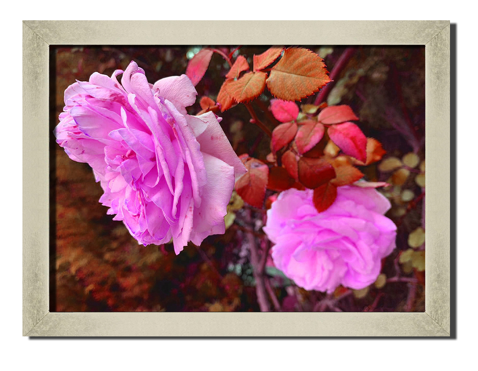 

Silver frame картина на файн-арт бумаге Цветы разноцветные цветы, растения Hotel Arizona HD 31 см x 41 см