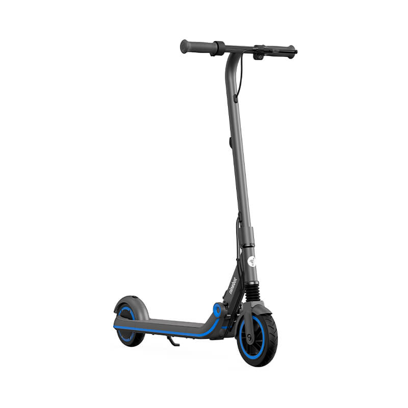 

Электросамокат Ninebot by Segway E10 (AA.00.0002.32)