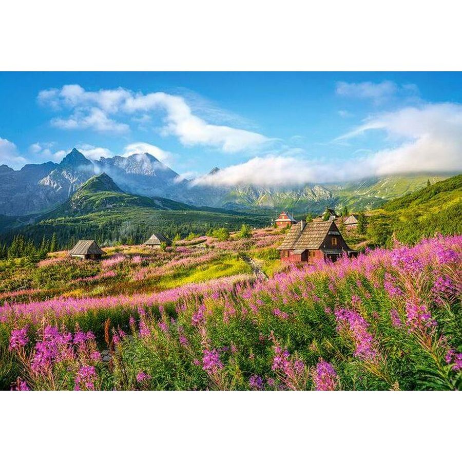 

Пазлы Castorland «Татра Природа Польши» 1000 элементов Castorland (С-104512)