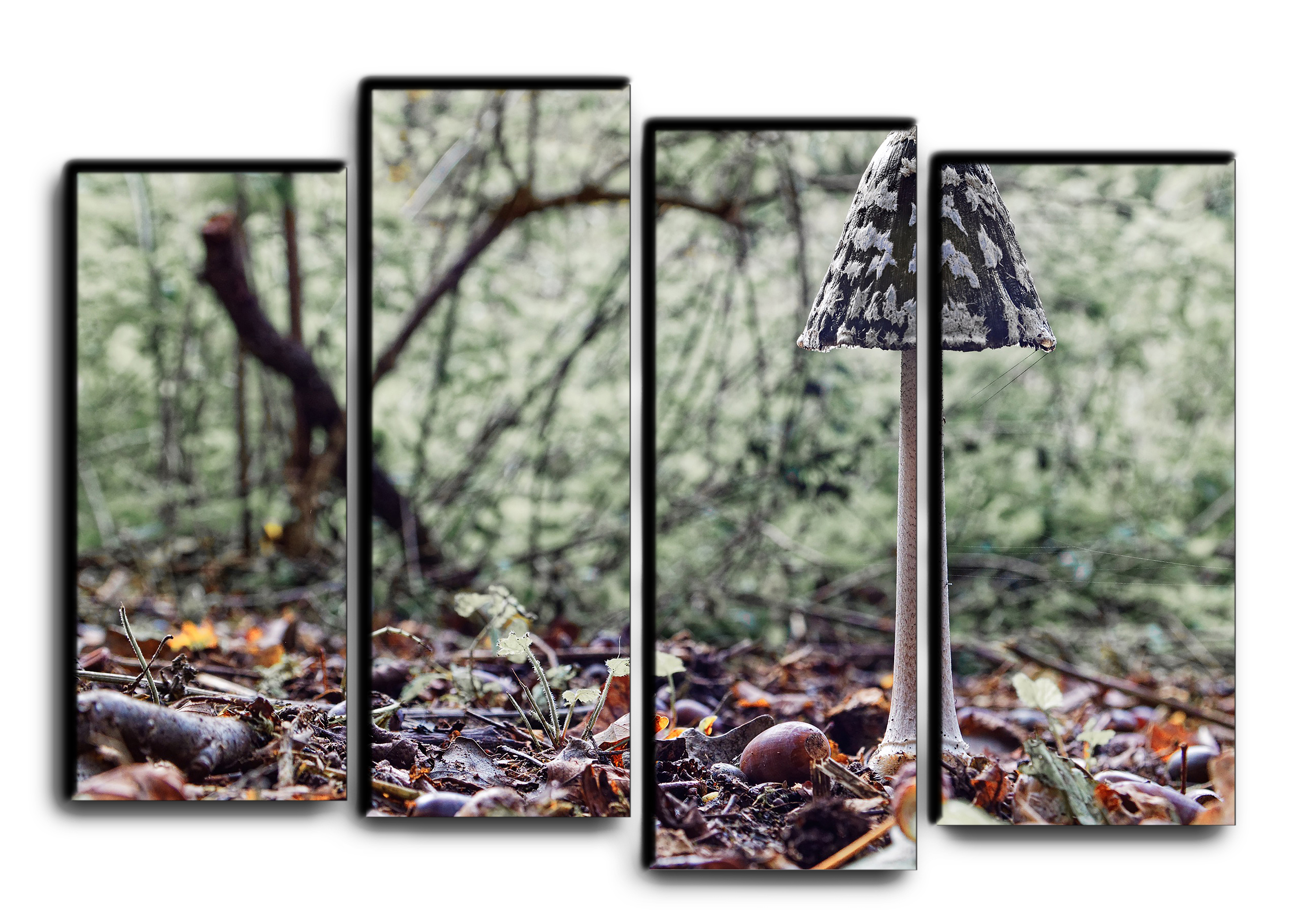 

Модульная картина на холсте из 4 частей Гриб в лесу растения в дикой природе, грибы Hotel Arizona HD 82 см x 112 см