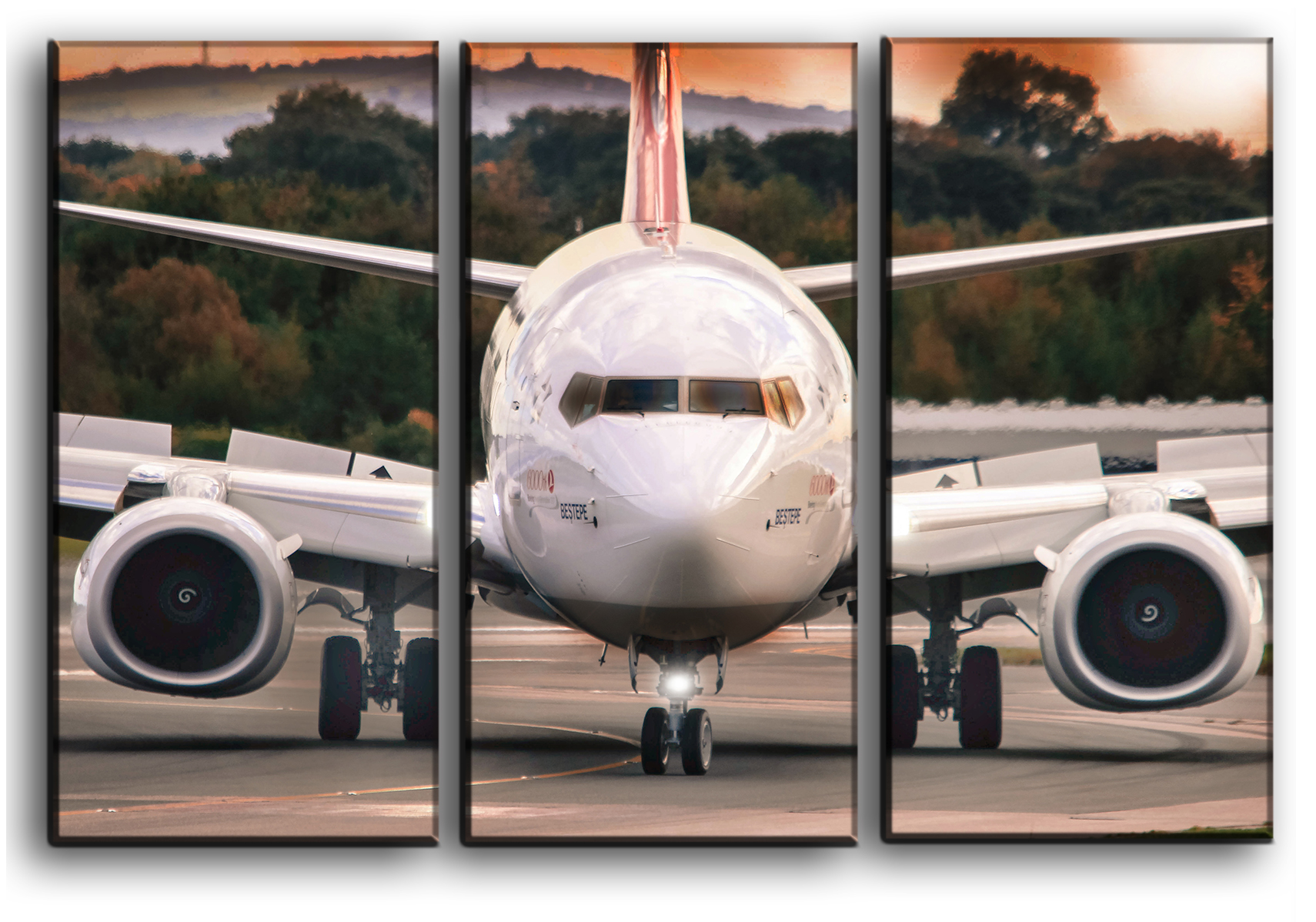 

Модульная картина на холсте из 3 частей самолет Boeing 737 авиация Hotel Arizona HD 56 см x 84 см