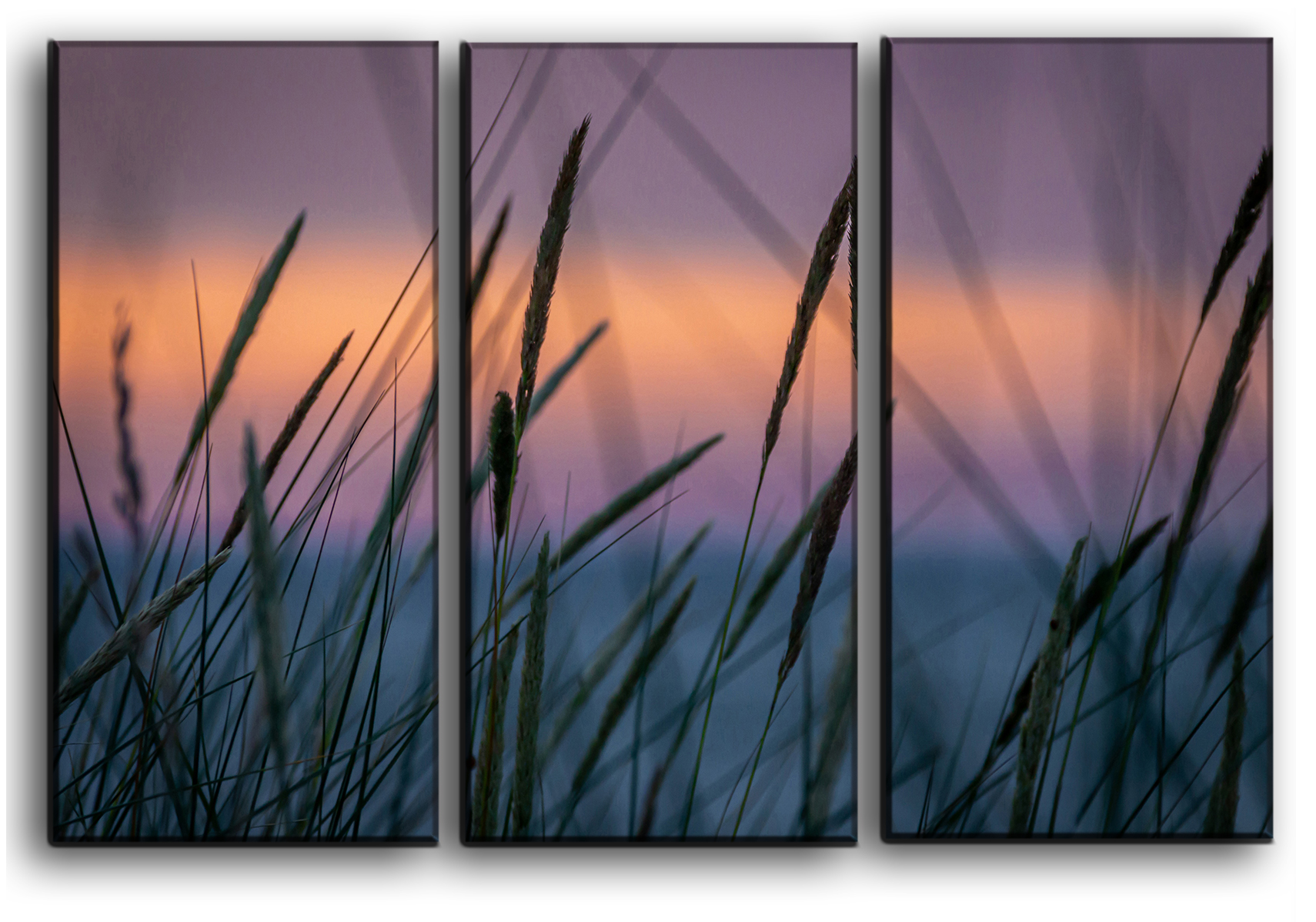 

Модульная картина на холсте из 3 частей Растения на закате природа пейзаж ландшафт Hotel Arizona HD 56 см x 84 см