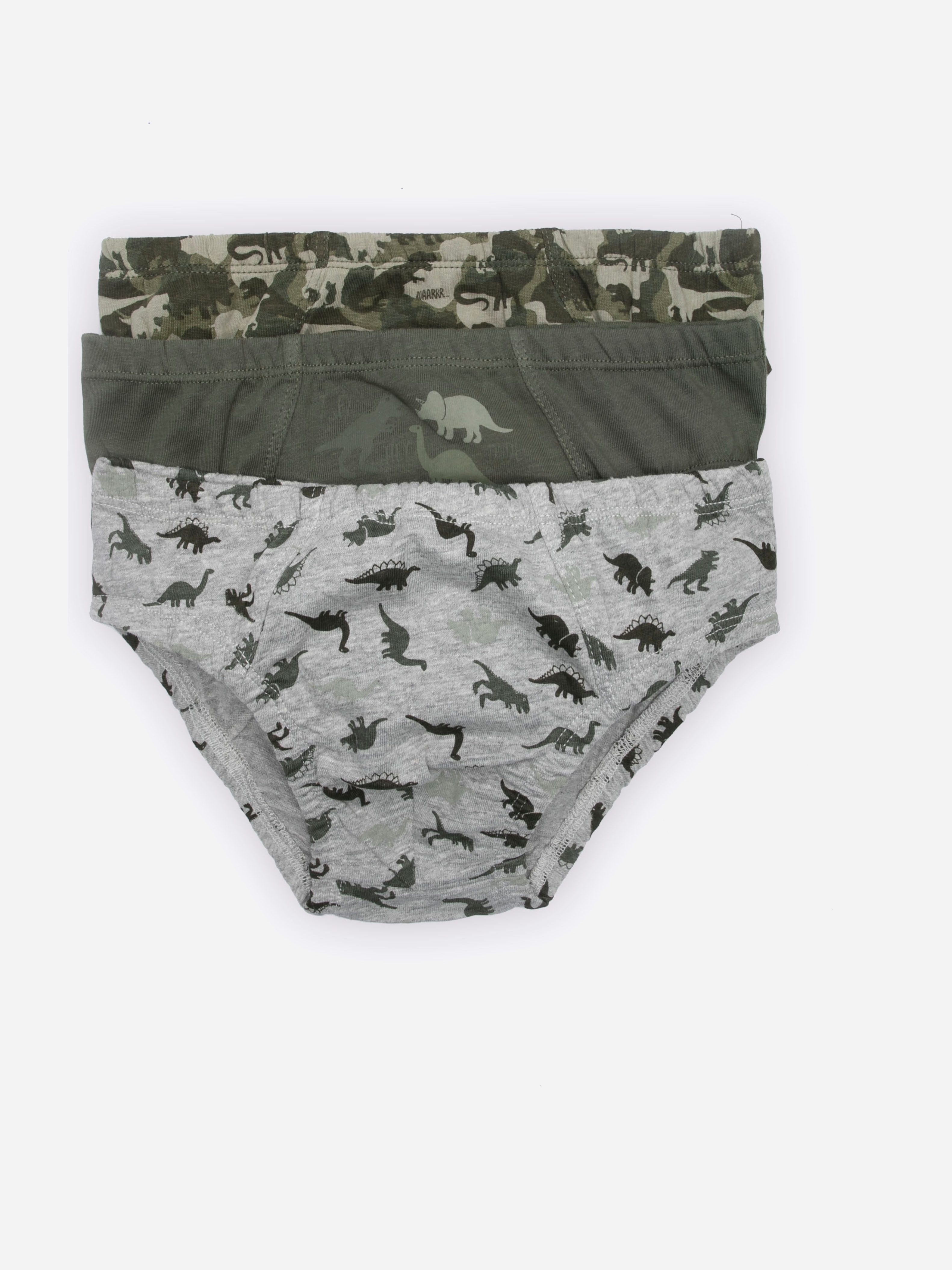 

Трусики Coccodrillo Pants WC1406203PAN-022 104 см 3 шт Разноцветные (5904705506919)