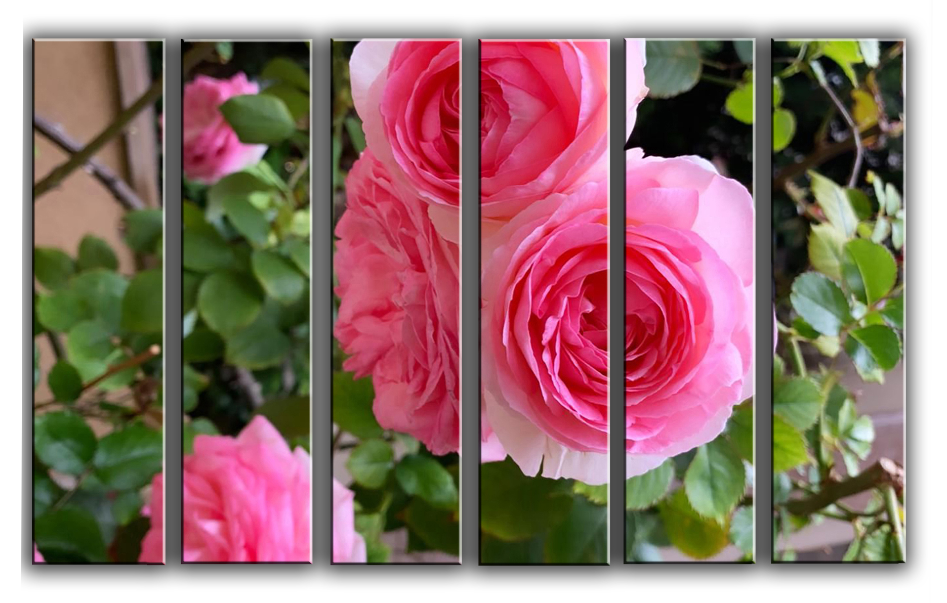 

Модульная картина на холсте из 6 частей Розы на побережье цветы, растения Hotel Arizona HD 112 см x 171 см