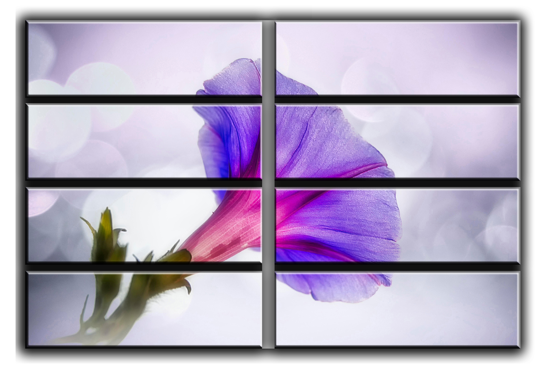 

Модульная картина на холсте из 8 больших частей Утренние цветы любовь цветы роматника свиданье Hotel Arizona HD 178 см x 254 см