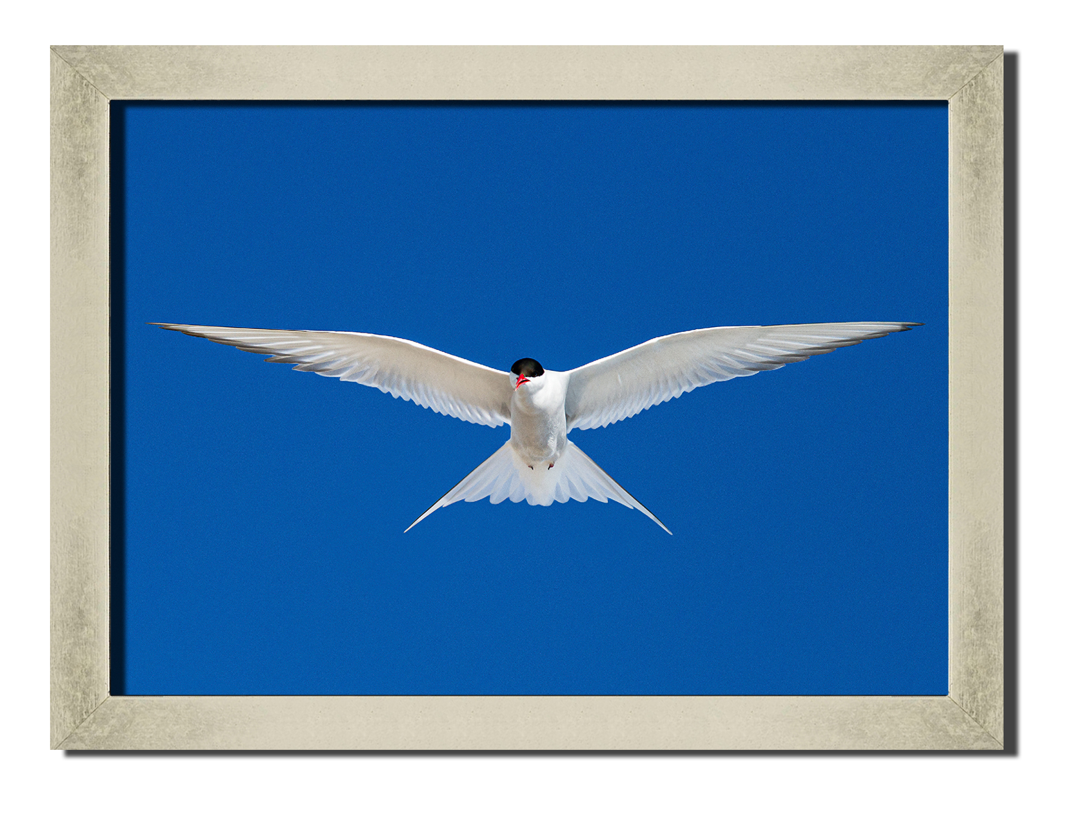 

Silver frame картина на файн-арт бумаге орел прица в небе Hotel Arizona HD 31 см x 41 см