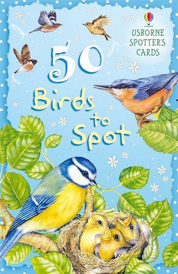 

50 Birds to Spot--(9780746078969)