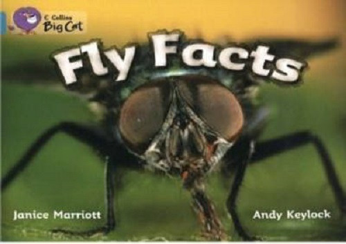 

Big Cat 7 Fly Facts-Джаніс Маріс, Кліф Мун, Енді Кейлок-(9780007186082)