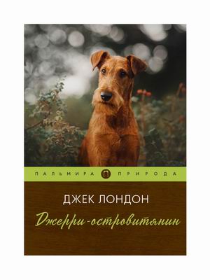 

Джерри-островитянин (18382731)