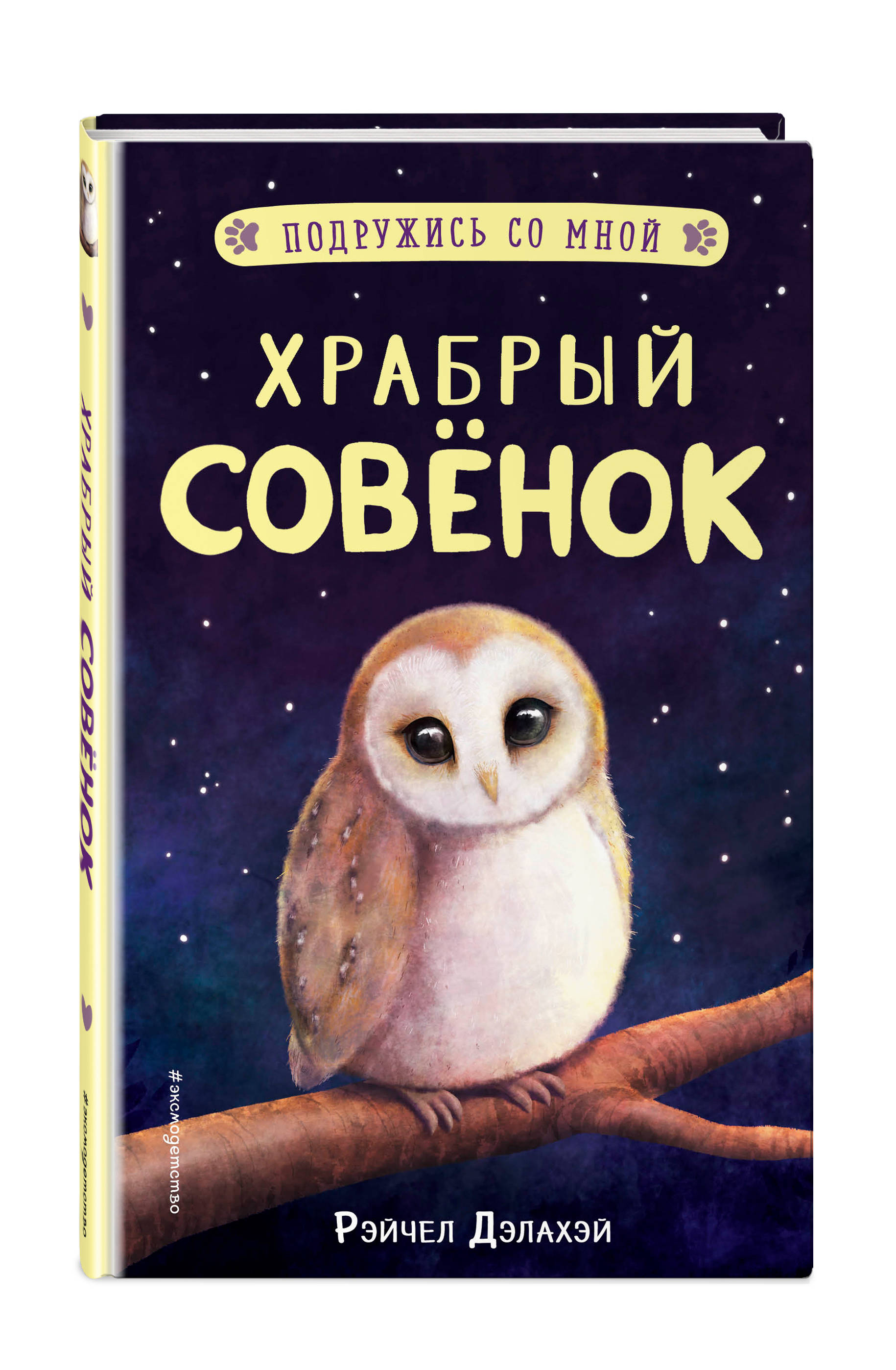 

Храбрый совёнок (18382911)