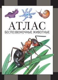 

Беспозвоночные животные. Атлас (18381971)