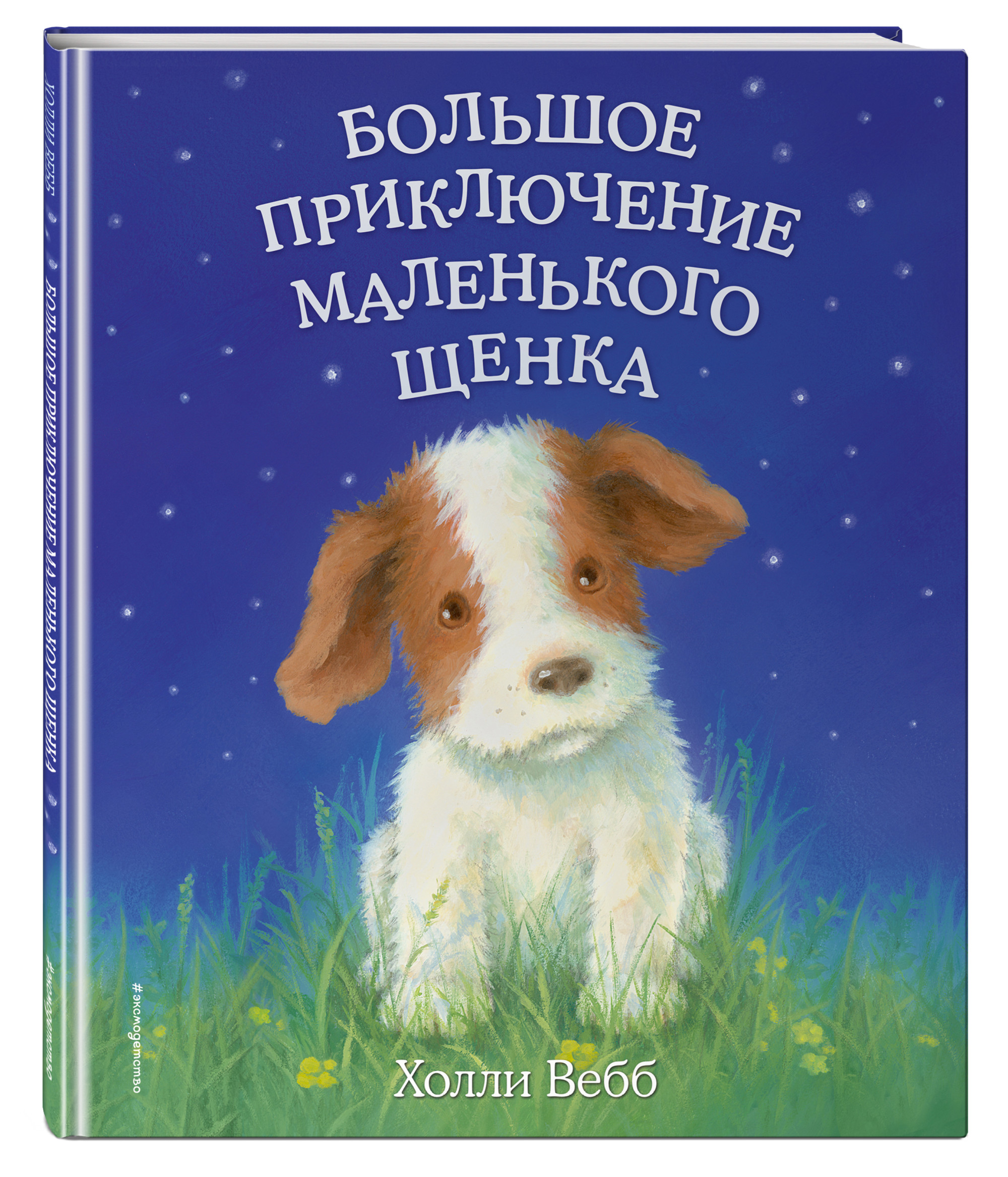 

Большое приключение маленького щенка (18352672)