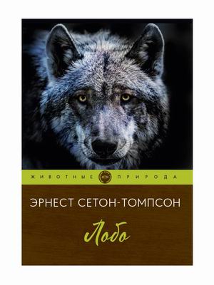 

Лобо (18382736)