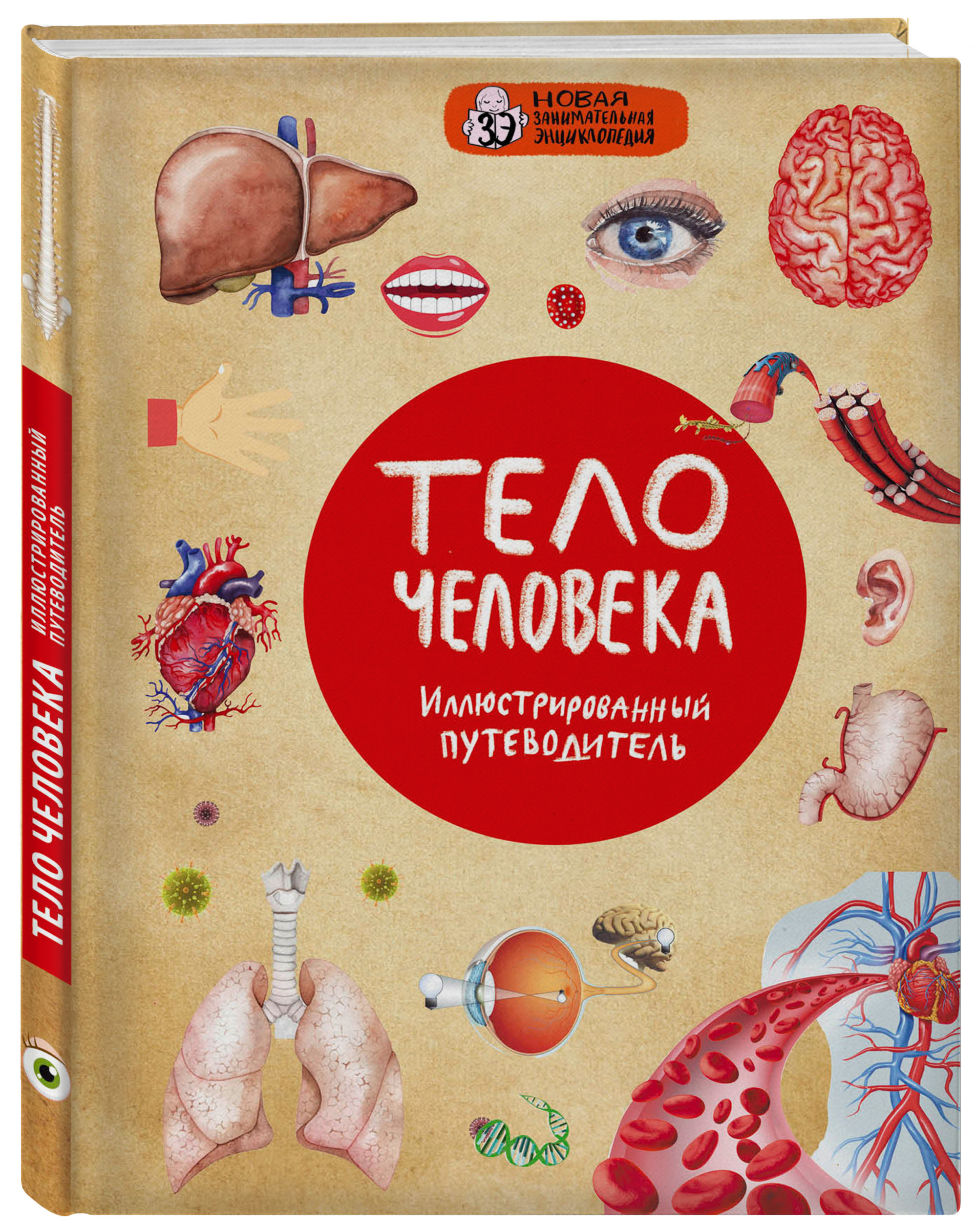 

Тело человека (18352678)