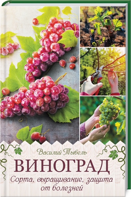 

Виноград. Сорта, выращивание, защита от болезней (18352670)