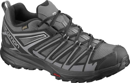 

Мужские кроссовки Salomon X Crest GORE-TEX Trail Running Shoe Magnet/Black/Quiet Shade 42