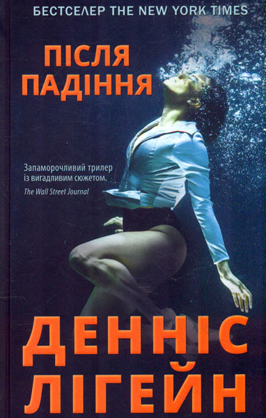 

Після падіння: роман