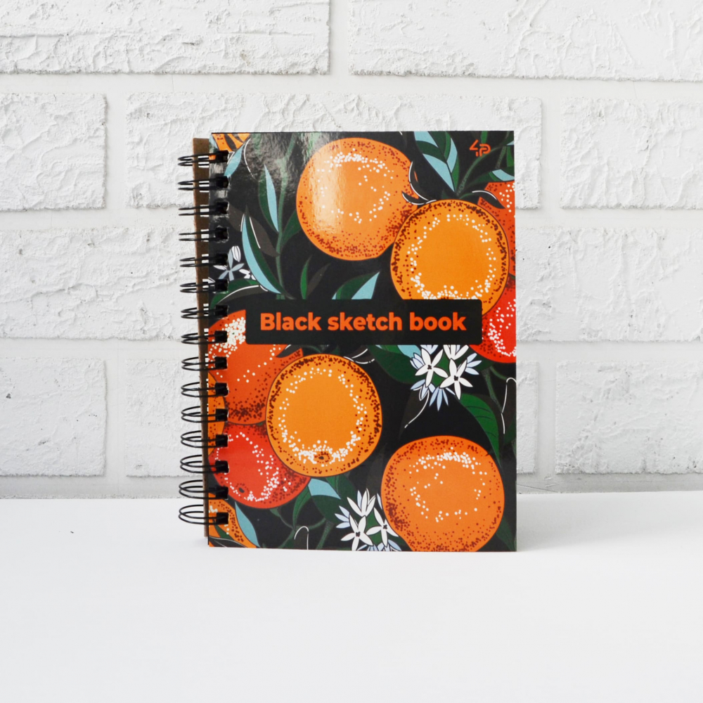 

Скетчбук 4Profi Black sketch book three А5 40 листов черная бумага 901432