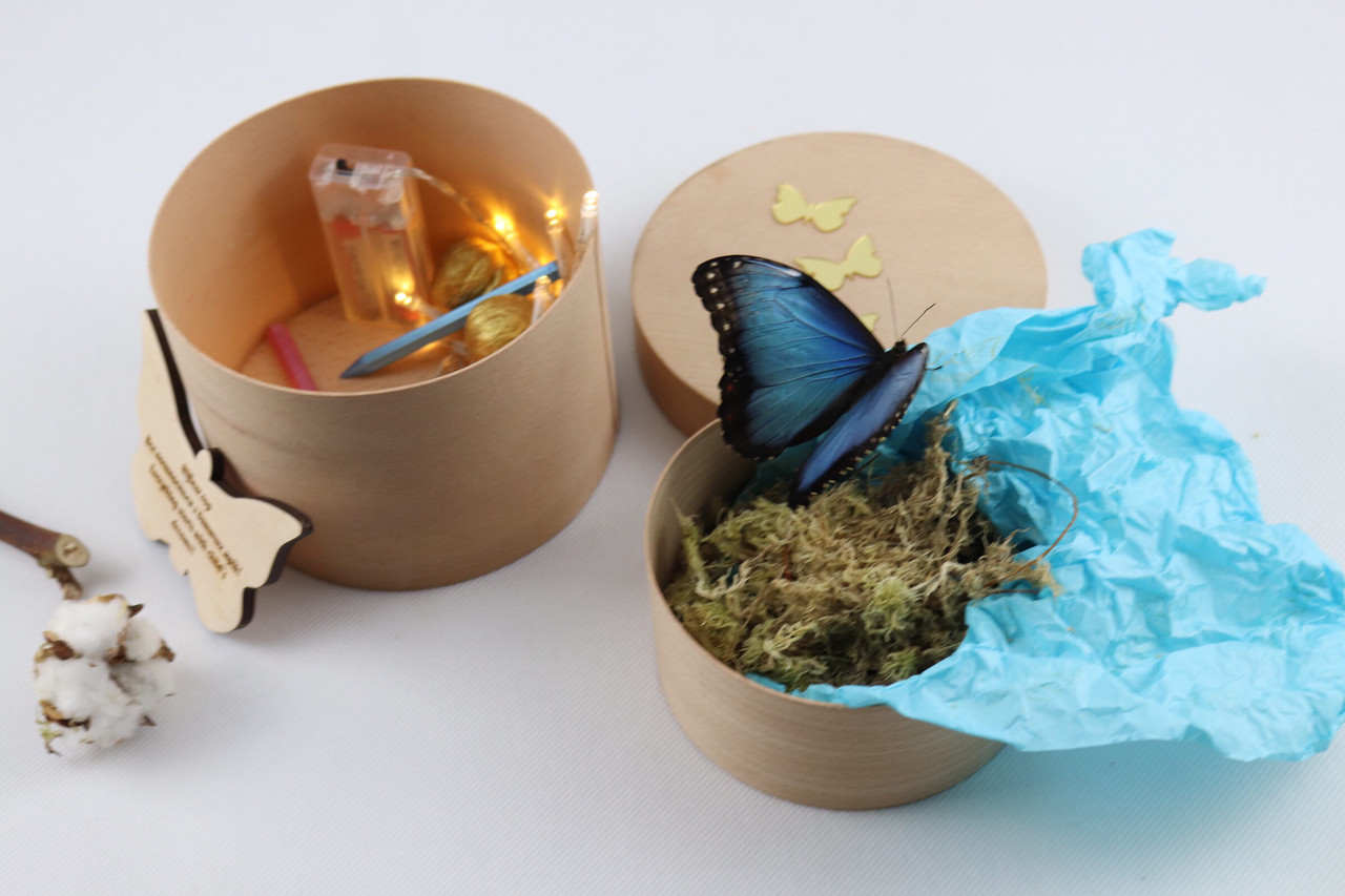 

Набор живая бабочка ifleur экологичный подарок