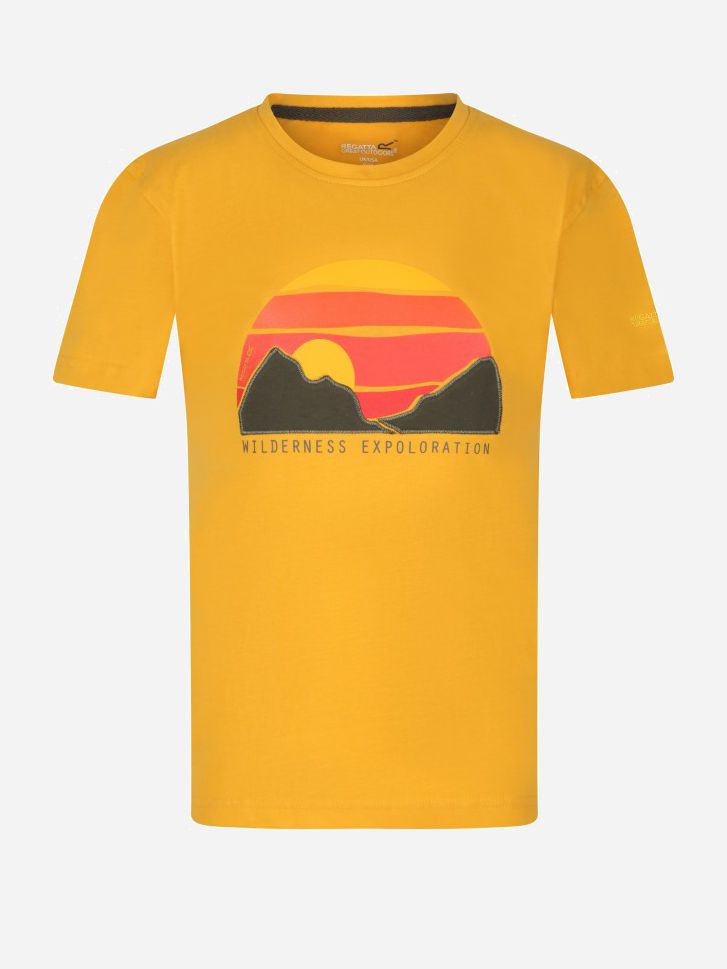 

Футболка Regatta Bosley III RKT106-8U2 122-128 см Оранжевая