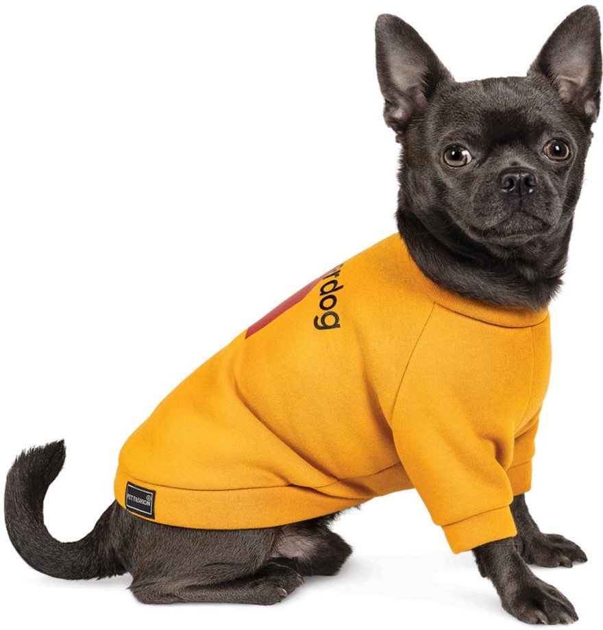 Акция на Толстовка Pet Fashion "SUPERDOG" для собак размер M, Оранжевая (4823082420308) от Rozetka UA