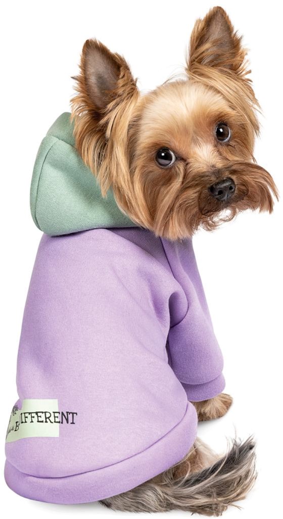 

Толстовка Pet Fashion "BE DIFFERENT" для собак размер M, Двухцветная