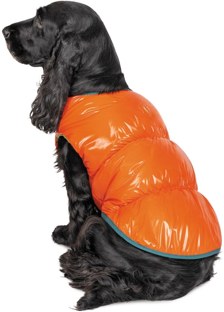 

Жилет Pet Fashion "SPRING" для собак размер L, Оранжевый