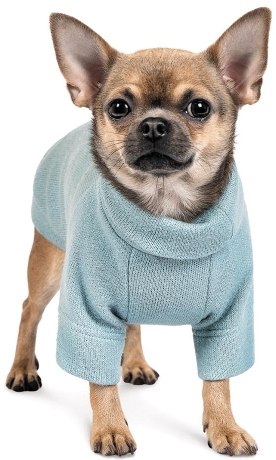 Акція на Свитер Pet Fashion "SENSE" для собак размер S, Зеленый (4823082419937) від Rozetka UA
