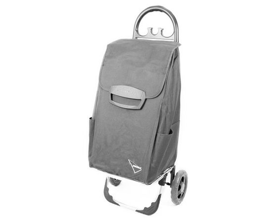 

Сумка Aurora Canadese 78 Grey (F00239887)