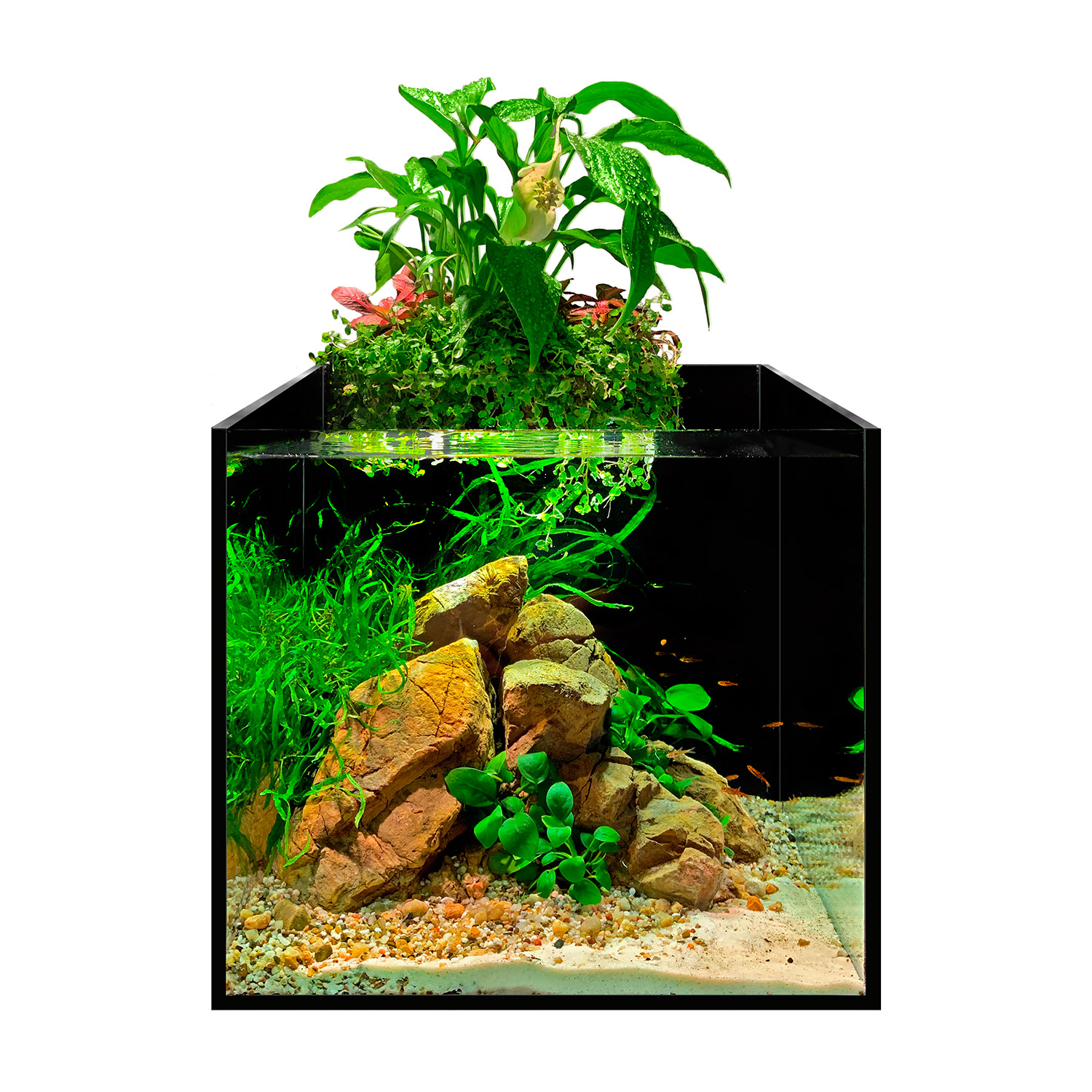 

Аквариумный набор Collar aFARM AQUAPONIC SET 13 л с фермой для выращивания растений (7146)
