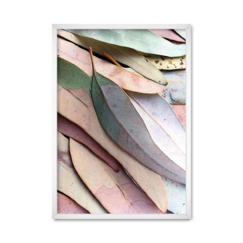 

Постер "Pastel palette" с антибликовым стеклом 59.6 x 84 см в белой рамке
