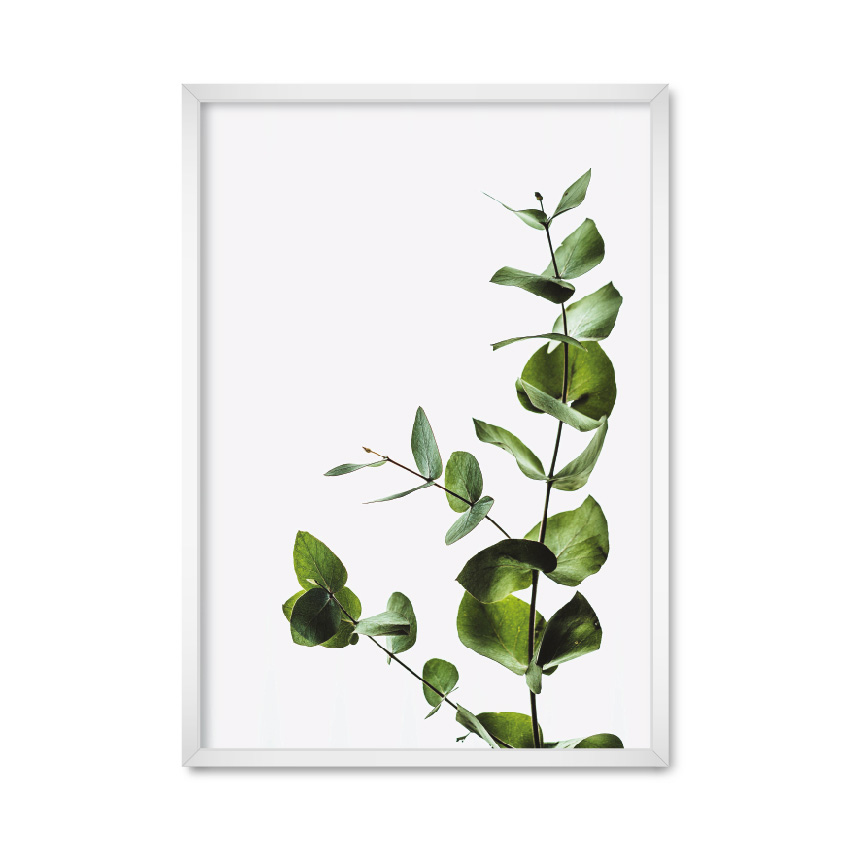 

Постер "Minimalist plant" с антибликовым стеклом 29.7 x 42 см в белой рамке