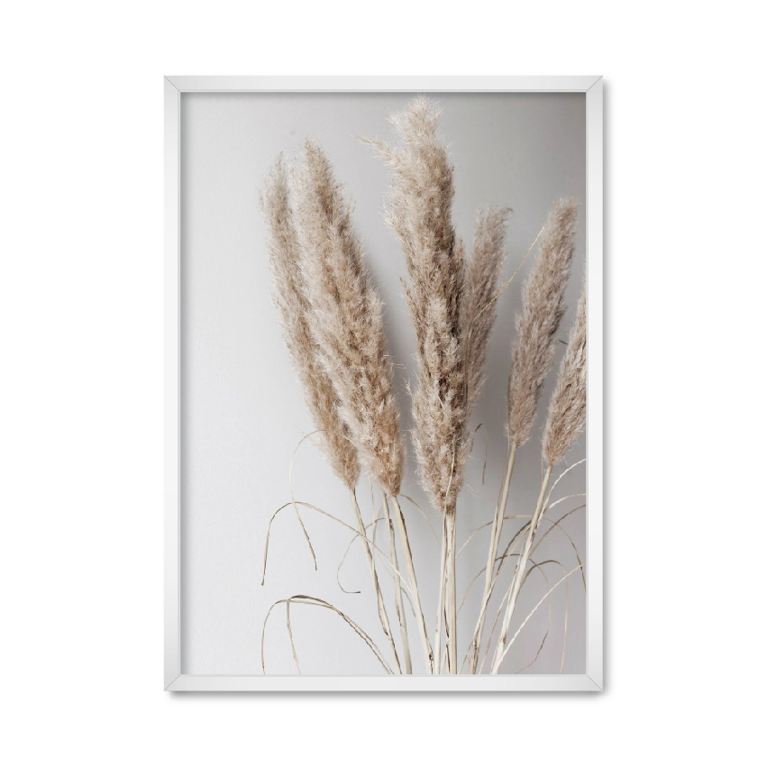 

Постер "Сухоцветы 01" без стекла 59.6 x 84 см в белой рамке