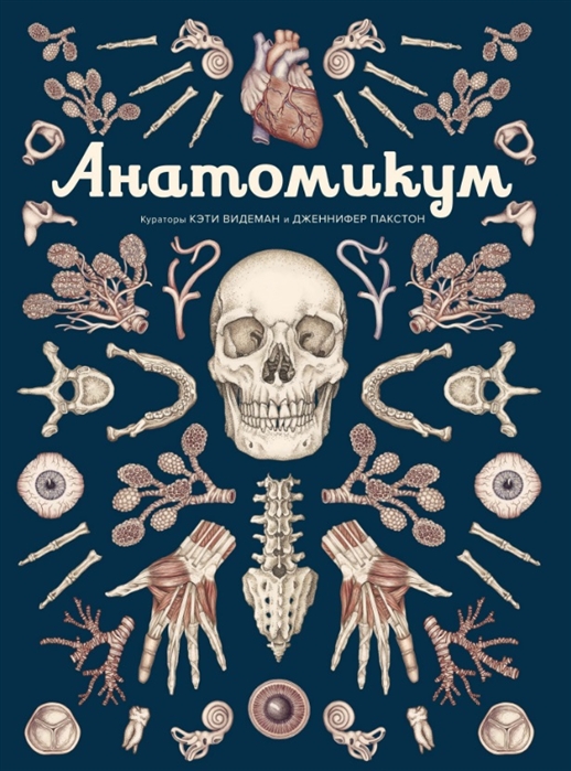 

Анатомикум. Дженнифер Пакстон