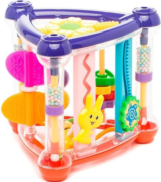 

Игрушка Essa Развивающий комплекс (EQ80388R)