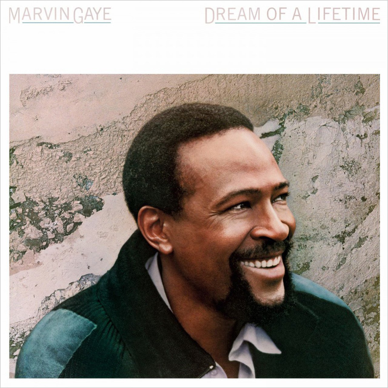 

Виниловая пластинка Marvin Gaye – Dream Of A Lifetime (Coloured)