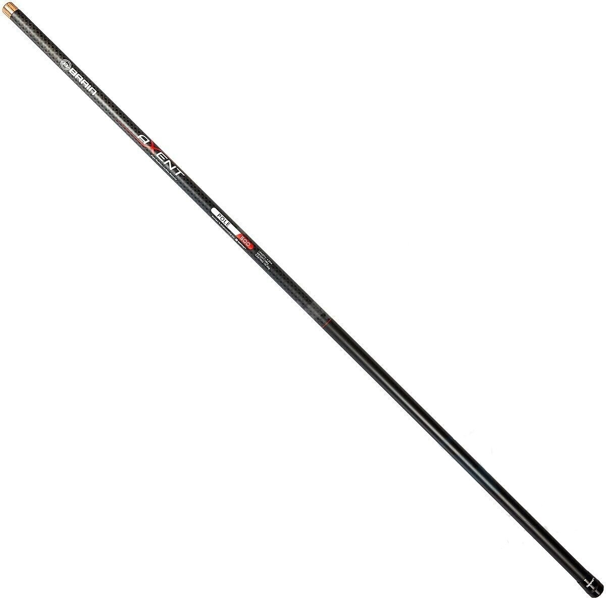 

Телескопическое удилище Brain Axent Pole 5m (1858.43.23)