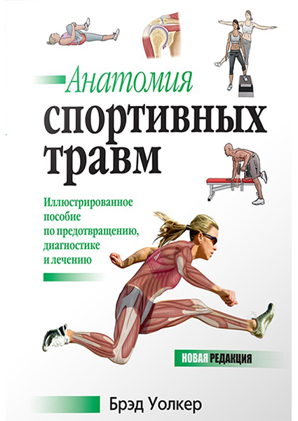 

Анатомия спортивных травм 93945