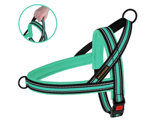 

Шлея для Собак BronzeDog Mesh Скандинавская Ментоловая 32-38 см (81108)