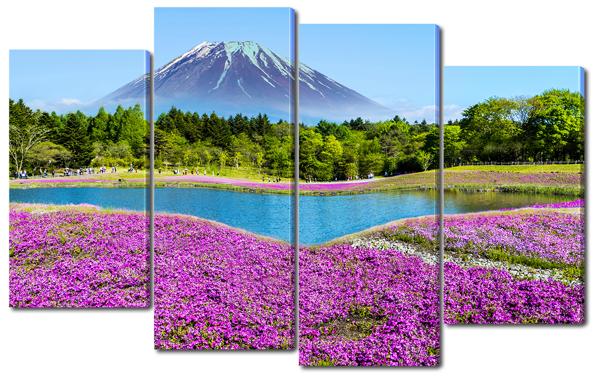 

Модульная картина Interno Холст Стратовулкан Фудзияма 140x89см