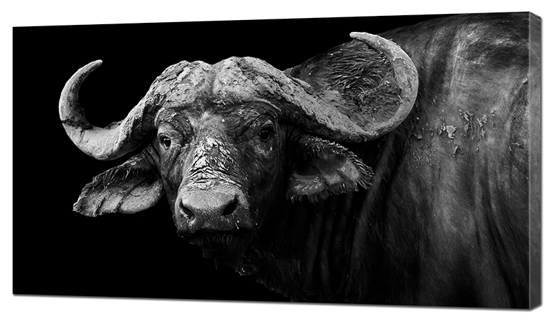 

Картина Interno Эко кожа Буйвол 120х69см